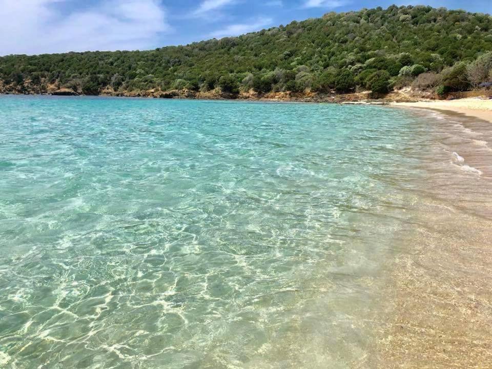Casa Grace Pula Διαμέρισμα Εξωτερικό φωτογραφία